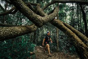 BIB: 
                            <button type="button" onclick="openModal(25664688)" class="btn btn-primary btn-sm float-right btn-popup" data-toggle="modal" data-target=".modal-high-quality">
                        <i class="fas fa-shopping-cart"></i> Add to Cart
                    </button>
                                            <button type="button" onclick="isThisMe(25664688, true)" class="btn btn-success btn-sm float-right btn-popup btn-isme hidden" data-toggle="tooltip" data-placement="bottom" title="นี่คือรูปของคุณใช่ไหม คลิกที่นี่เพื่อเอาเข้าอัลบั้ม">
                        <i class="fas fa-plus"></i> Add to album
                    </button>
                    <button type="button" onclick="isThisMe(25664688, false)" class="btn btn-warning btn-sm float-right btn-popup btn-isnotme hidden">
                        <i class="fas fa-ban"></i> Remove from album
                    </button>